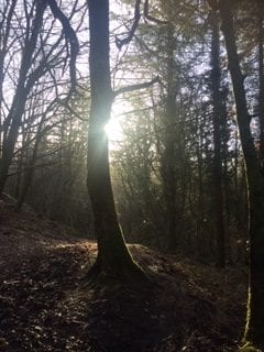 Kinship Practices for Rekindling Hope