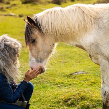 Animal Communication Skills Workshop