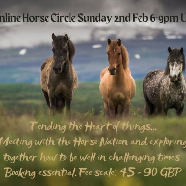 Online Horse Circle Tending the Heart of Things