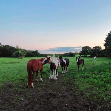 Summer Retreat with Debbie Brookes
