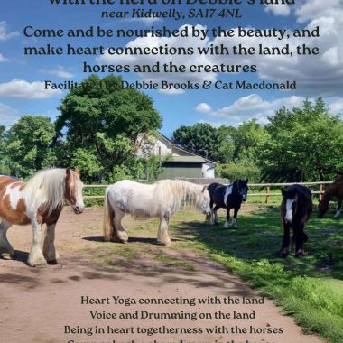 Autumn Retreat with Debbie Brookes